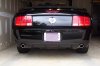 Mustang Pictures 001.JPG