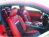 mustang 08 022.jpg