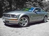 Mustang 20_edited-2.jpg