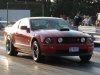 img_1916r.jpg
