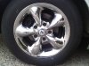 IMG-20110308-00004.jpg