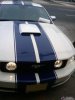 Mustang 1.jpg
