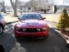 Stang 013.JPG