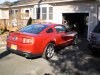 Stang 014.JPG