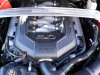 Stang 011.JPG