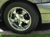 DSCN0913.JPG