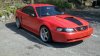 Real Mustang 3.jpg