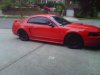 mustang.jpg