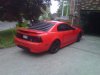mustang1.jpg