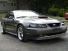 mustang 2.jpg