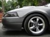 mustang 6.jpg