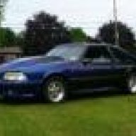 Mustang Mike