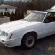 1984 mustang gt-350