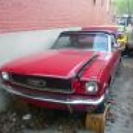 66ponies