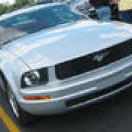 mustangbabe