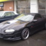 AmericanMuscle