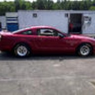 STROKED `06