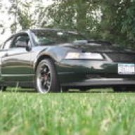 IrishBullitt7