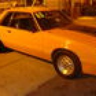 mustang302orange