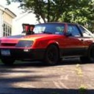 Mustang-Junky
