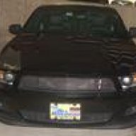 mymustang