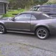 onebadmustanggt03