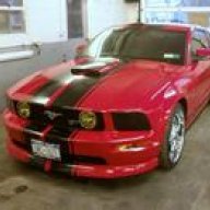 mustang06gap