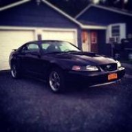 Blackstang19