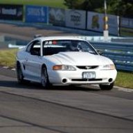 Mustanganatic