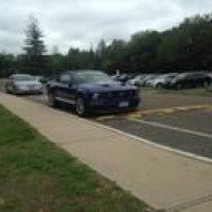 Sparky The Stang
