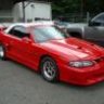The Mustang Man
