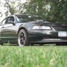 IrishBullitt7