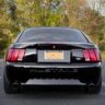 NYStang21