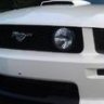 CrazyHorse