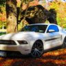 BenzToyzStang
