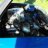 flyinfoxbody