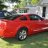 lar's red pony