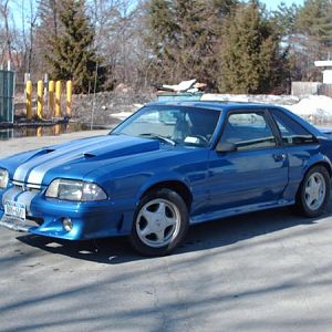 My stang