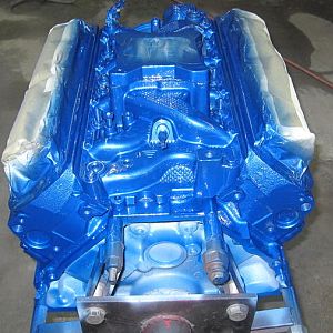 PR MUSCLE