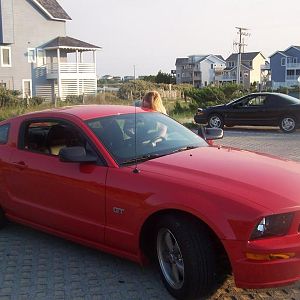 Scarlet