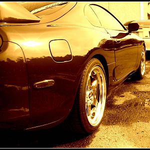 Mustang