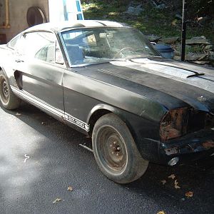 My GT 350