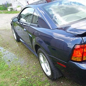 The Cobra