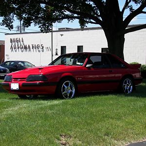 MUSTANG22 033.JPG