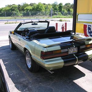 mustang