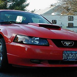 my stang
