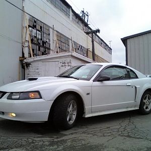 My first mustang!