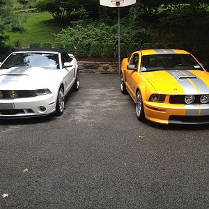 2008 SHELBY GTC #55