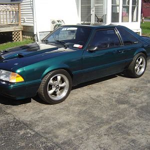 My Fox
