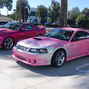 Think Pink